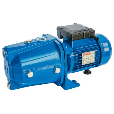 Ūdens sūknis CAM 202 HP2 230V